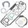 Complete Gasket Kit with Oil Seals WINDEROSA 811885