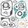 Complete Gasket Kit with Oil Seals WINDEROSA 811906