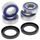 Rear Independent Suspension Kit All Balls Racing 50-1079
