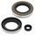 Engine Oil Seal Kit WINDEROSA 55208