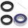 Lower Steering Stem Kit All Balls Racing 25-1460