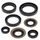 Engine Oil Seal Kit WINDEROSA 822260