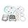 Complete Gasket Kit with Oil Seals WINDEROSA 811977