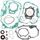 Complete Gasket Kit with Oil Seals WINDEROSA 811858