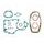 Celoten set tesnil za motor ATHENA P400120850020