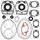 Complete Gasket Kit with Oil Seals WINDEROSA 711165B