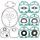 Complete Gasket Kit with Oil Seals WINDEROSA 711235