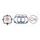 Set tesnil motorja RMS 100684031