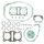 Celoten set tesnil za motor ATHENA P400250850305