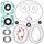 Complete Gasket Kit with Oil Seals WINDEROSA 711165E