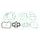 Celoten set tesnil za motor ATHENA P400210850206/1