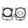 Set tesnil za motor ATHENA P400270160066 for Athena Standard Bore Cylinder kit