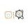 TOPEND set tesnil za motor ATHENA P400010600060