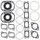Complete Gasket Kit with Oil Seals WINDEROSA 711162A