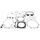Complete Gasket Kit with Oil Seals WINDEROSA 8110011