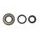 Set tesnil motorja za olje (Engine Oil Seals Kit) ATHENA P400480400050/1