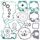 Complete Gasket Kit with Oil Seals WINDEROSA 811371