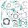 Complete Gasket Kit WINDEROSA 808254