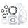 Complete Gasket Kit with Oil Seals WINDEROSA 811808