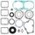 Complete Gasket Kit with Oil Seals WINDEROSA 711168B