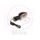 Smernik JMT BL 6054