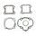 TOPEND set tesnil za motor ATHENA P400420600080
