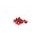 Screws PUIG ANODIZED 2542R rdeč M6 x 20mm (6pcs)