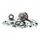 Bottom end kit HOT RODS CBK0087