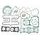 Celoten set tesnil za motor ATHENA P400250850981