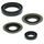 Engine Oil Seal Kit WINDEROSA 822273