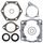 Complete Gasket Kit with Oil Seals WINDEROSA 811807