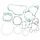 Celoten set tesnil za motor ATHENA P400510850035