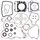 Complete Gasket Kit with Oil Seals WINDEROSA 811328