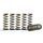 Hi-Temp Clutch Spring Kit HINSON CS341-6-0311 (set of 6)