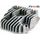 Glava motorja (cilinder) RMS 100070030