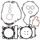 Complete Gasket Kit WINDEROSA 808876