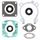 Complete Gasket Kit with Oil Seals WINDEROSA 711148
