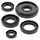 Engine Oil Seal Kit WINDEROSA 822196