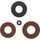 Engine Oil Seal Kit WINDEROSA 55244