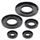 Engine Oil Seal Kit WINDEROSA 55233
