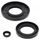 Engine Oil Seal Kit WINDEROSA 55102