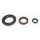 Set tesnil motorja za olje (Engine Oil Seals Kit) ATHENA P400270400031