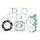 Celoten set tesnil za motor ATHENA P400427850002