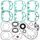 Complete Gasket Kit with Oil Seals WINDEROSA 711256