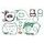 Celoten set tesnil za motor ATHENA P400210850130