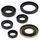 Engine Oil Seal Kit WINDEROSA 822278
