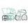 Set tesnil motorja RMS 100689871