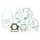 Celoten set tesnil za motor ATHENA P400210850354