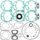 Complete Gasket Kit with Oil Seals WINDEROSA 711283