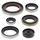 Engine Oil Seal Kit WINDEROSA 822348